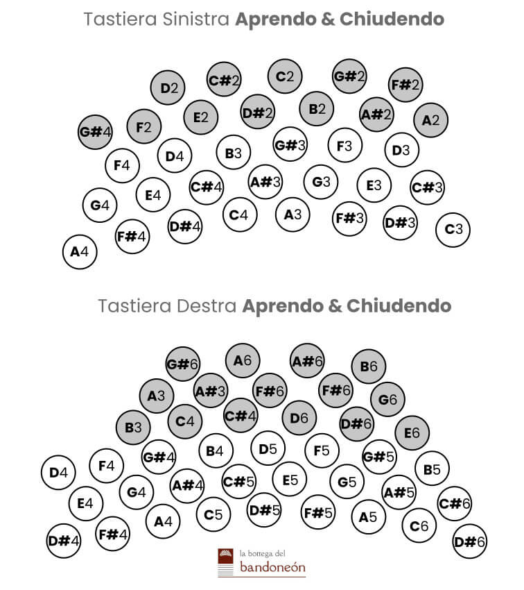 Schema tasti bandoneón cromatico Manoury