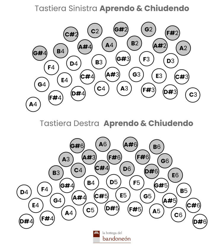 Schema tasti bandoneón cromatico Péguri
